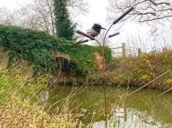 King Fisher With Reeds 9 King Fisher With Reeds -Garden Comfort Shop 1 xl 2 1 1