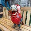 Polly The Parrot Beverage Tub 2 Polly The Parrot Beverage Tub -Garden Comfort Shop 20211217 104738 xl