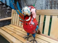 Polly The Parrot Beverage Tub