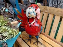 Polly The Parrot Beverage Tub 14 Polly The Parrot Beverage Tub -Garden Comfort Shop 20211217 104830 xl