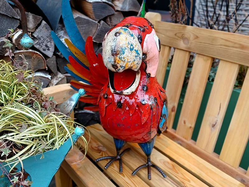 Polly The Parrot Beverage Tub 7 Polly The Parrot Beverage Tub - Image 5