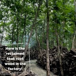 Bluma Floor Lamp 4 Shades 9 Bluma Floor Lamp 4 Shades -Garden Comfort Shop 3 20 2