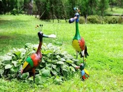 Baz The Father Bird 8 Baz The Father Bird -Garden Comfort Shop 50685989 2023364447718479 8319592303664562176 o xl 1