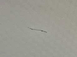 Luna Crescent Retractable Awning 4.75 X 4m | Luna Range | RHS Tatton Park 32 Luna Crescent Retractable Awning 4.75 X 4m | Luna Range | RHS Tatton Park -Garden Comfort Shop 6 bi 2