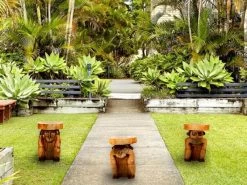 Monkey No Evil - Set Of Three