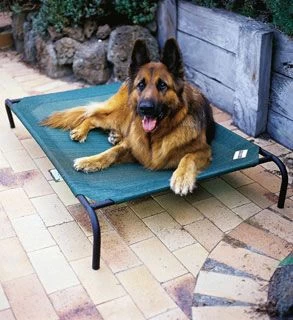 Dog Bed - Large 3 Dog Bed - Large