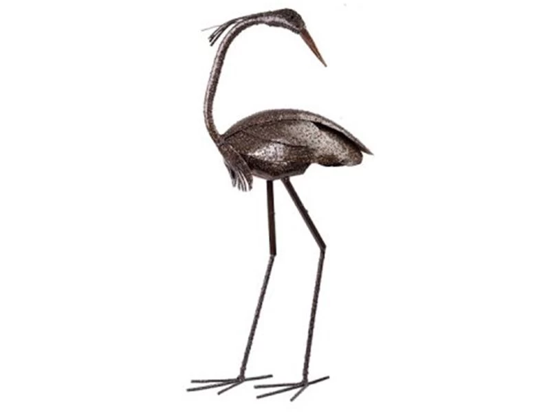 Baby Heron Turned Head 3 Baby Heron Turned Head