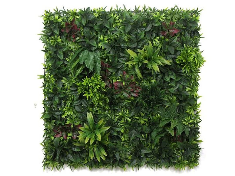 Living Wall Tile | Belgium | 1m X 1m 5 Living Wall Tile | Belgium | 1m X 1m - Image 3
