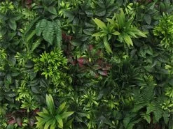 Living Wall Tile | Belgium | 1m X 1m 25 Living Wall Tile | Belgium | 1m X 1m -Garden Comfort Shop belgium bi 2