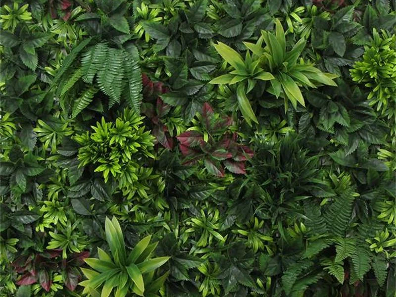 Living Wall Tile | Belgium | 1m X 1m 6 Living Wall Tile | Belgium | 1m X 1m - Image 4