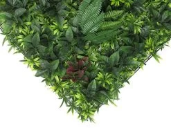Living Wall Tile | Belgium | 1m X 1m 26 Living Wall Tile | Belgium | 1m X 1m -Garden Comfort Shop belgium bi 3