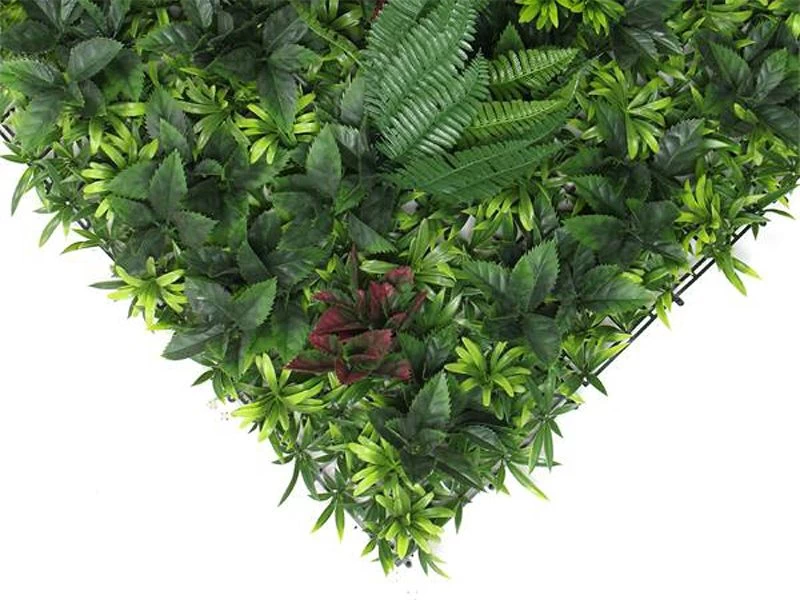 Living Wall Tile | Belgium | 1m X 1m 7 Living Wall Tile | Belgium | 1m X 1m - Image 5