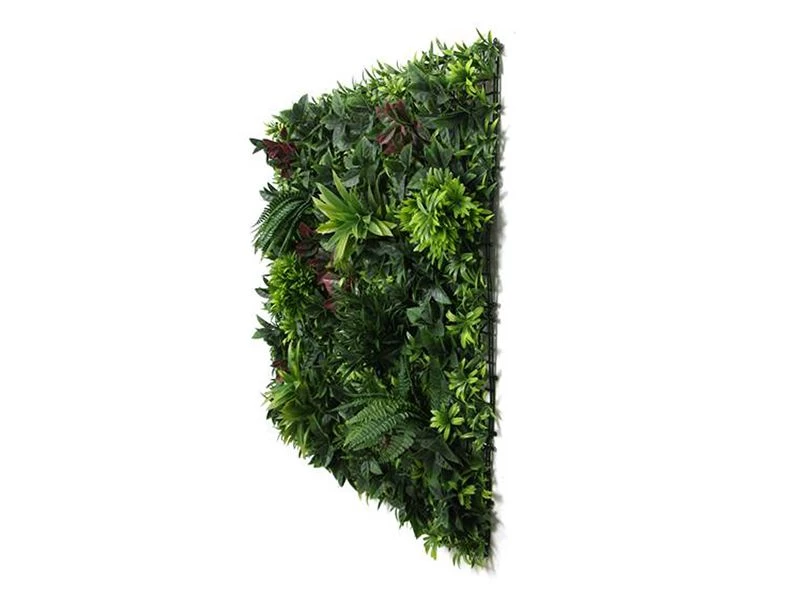 Living Wall Tile | Belgium | 1m X 1m 8 Living Wall Tile | Belgium | 1m X 1m - Image 6