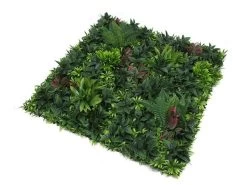 Living Wall Tile | Belgium | 1m X 1m 28 Living Wall Tile | Belgium | 1m X 1m -Garden Comfort Shop belgium bi 5