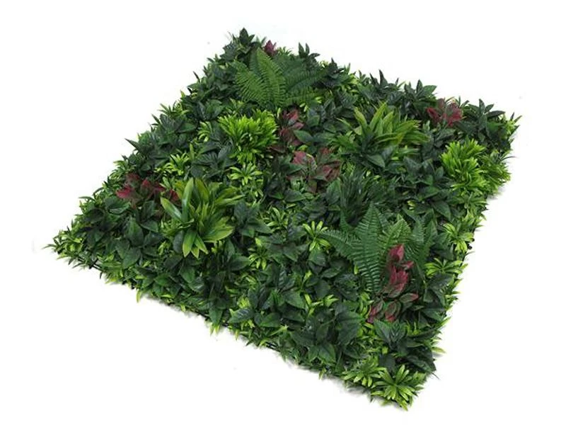 Living Wall Tile | Belgium | 1m X 1m 9 Living Wall Tile | Belgium | 1m X 1m - Image 7