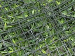 Living Wall Tile | Belgium | 1m X 1m 29 Living Wall Tile | Belgium | 1m X 1m -Garden Comfort Shop belgium bi 6