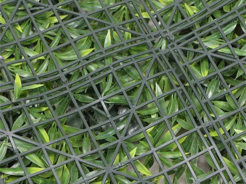 Living Wall Tile | Belgium | 1m X 1m 10 Living Wall Tile | Belgium | 1m X 1m - Image 8