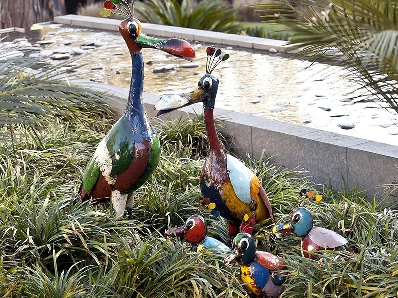 Billy The Baby Bird 7 Billy The Baby Bird - Image 5