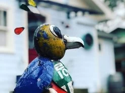 Billy The Baby Bird 10 Billy The Baby Bird -Garden Comfort Shop billy the baby bird 2 jose luis xl