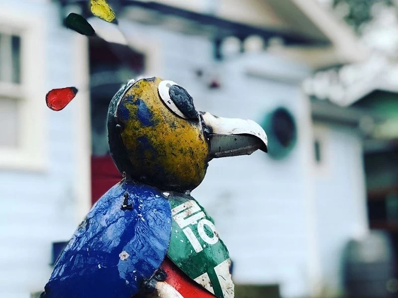 Billy The Baby Bird 6 Billy The Baby Bird - Image 4