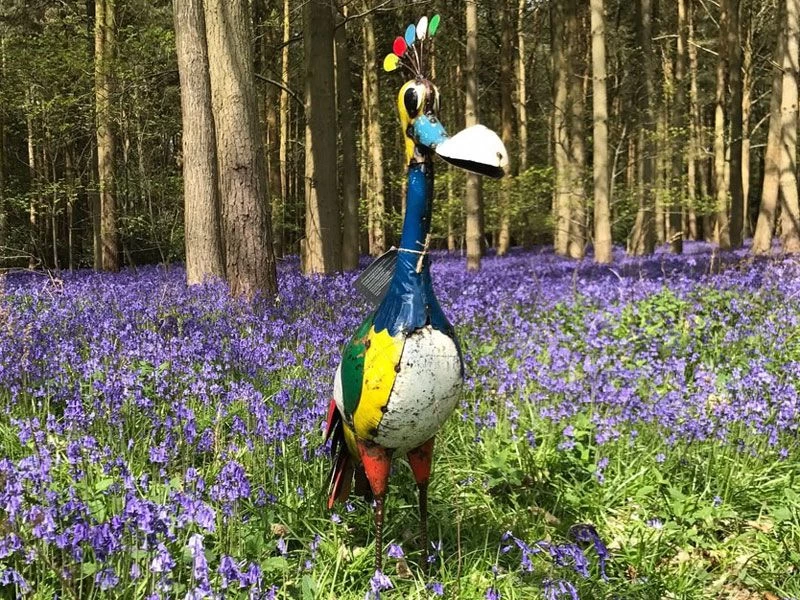 Baz The Father Bird 3 Baz The Father Bird