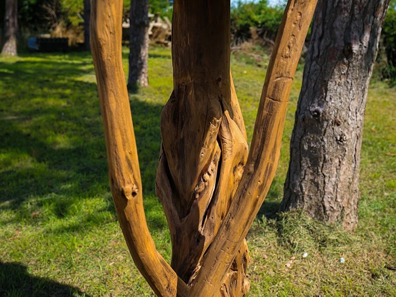 Teak Bird House 9 Teak Bird House - Image 7