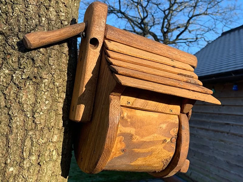 Rustic Oak Small Bird Box 6 Rustic Oak Small Bird Box - Image 4