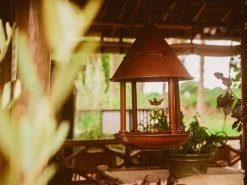 Bird Cafe 11 Bird Cafe -Garden Comfort Shop bird cafe resized