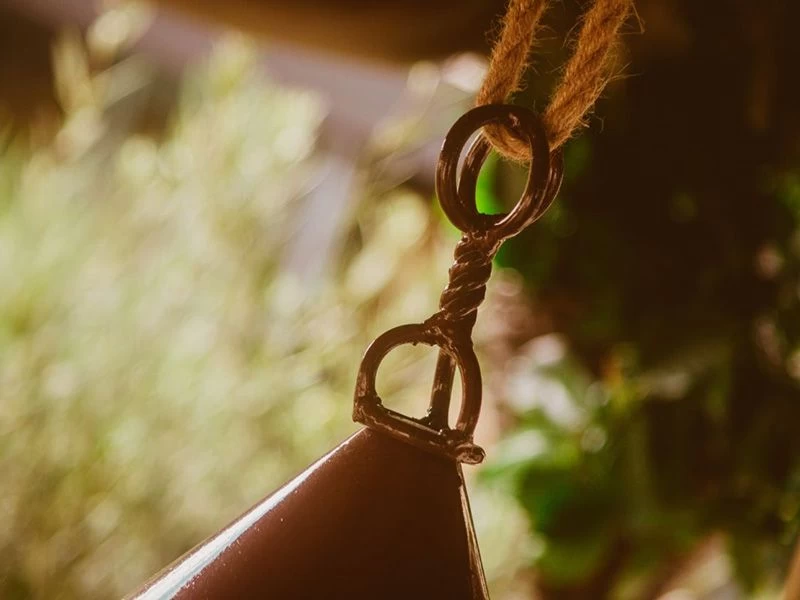 Bird Cafe 4 Bird Cafe - Image 2