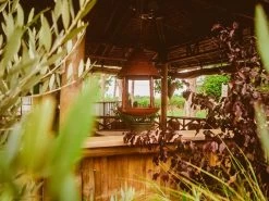 Bird Cafe 12 Bird Cafe -Garden Comfort Shop bird cafe resized 5