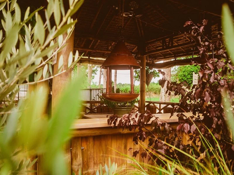 Bird Cafe 7 Bird Cafe - Image 5