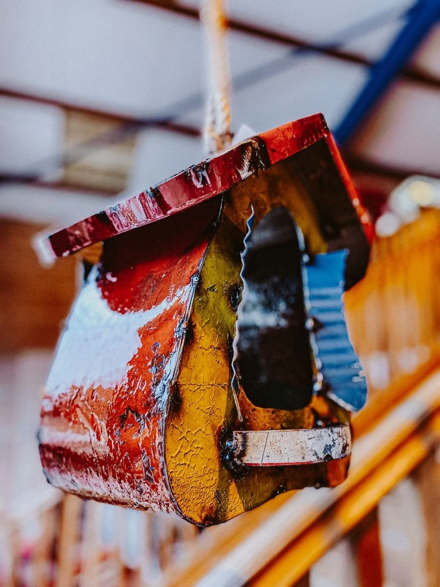 The Bird Palace 8 The Bird Palace - Image 6