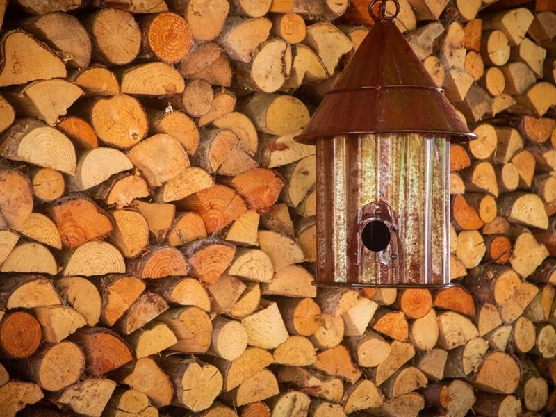 Bird Shack 5 Bird Shack - Image 3