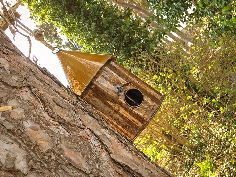 Bird Shanty 4 Bird Shanty - Image 2