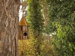 Bird Shanty 10 Bird Shanty -Garden Comfort Shop bird shanty 5 2 1