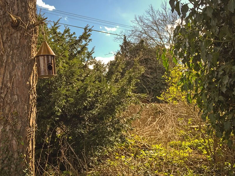 Bird Shanty 7 Bird Shanty - Image 5