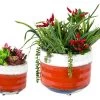 Bondi Orange Balcony Planters (Set Of Two) 1 Bondi Orange Balcony Planters (Set Of Two) -Garden Comfort Shop bondi balcony planter orange e40485obi 1