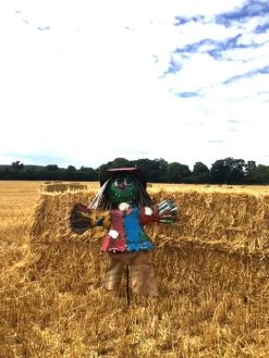 Boo The Scarecrow Large 13 Boo The Scarecrow Large -Garden Comfort Shop boo the scarecrow large xl 2