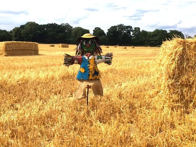 Boo The Scarecrow Large 8 Boo The Scarecrow Large - Image 6