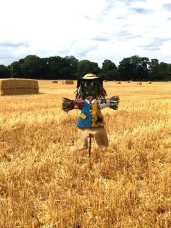 Boo The Scarecrow Large 16 Boo The Scarecrow Large -Garden Comfort Shop boo the scarecrow large xl 5