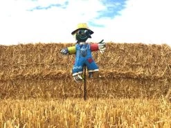 Boo The Scarecrow Small 18 Boo The Scarecrow Small -Garden Comfort Shop boo the scarecrow small xl 4 xl