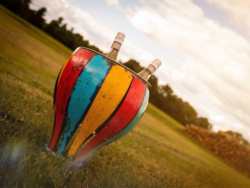 Bowl Me Over Wine Chiller 7 Bowl Me Over Wine Chiller - Image 5