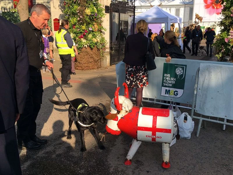 Bruce The Bull Cooler - England 11 Bruce The Bull Cooler - England - Image 9