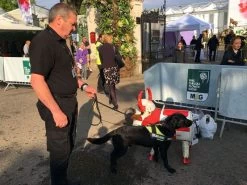 Bruce The Bull Cooler - England 26 Bruce The Bull Cooler - England -Garden Comfort Shop bruce the bull cooler england chelsea xl 2