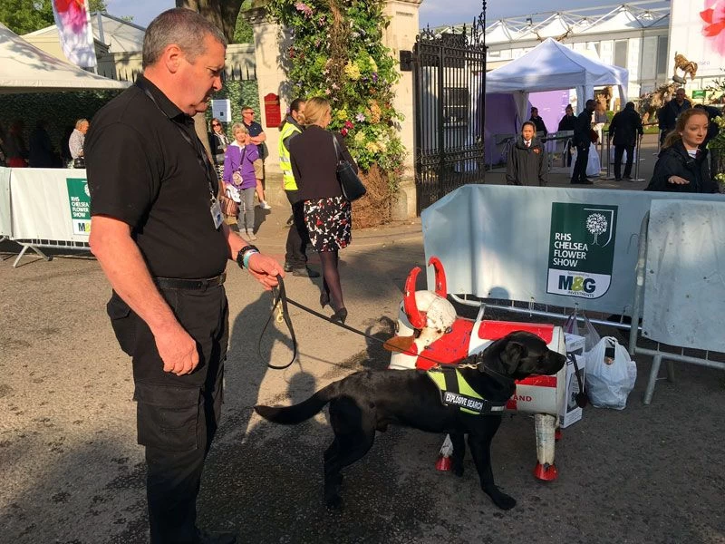 Bruce The Bull Cooler - England 12 Bruce The Bull Cooler - England - Image 10