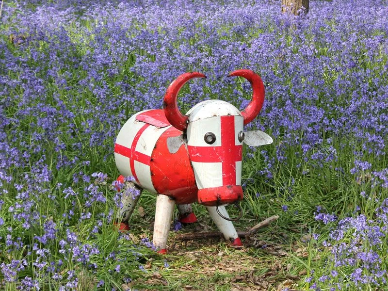 Bruce The Bull Cooler - England 3 Bruce The Bull Cooler - England