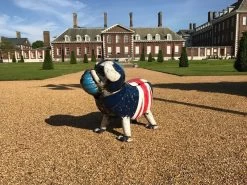 Winston The Bull Dog 12 Winston The Bull Dog -Garden Comfort Shop bull dog 5 xl