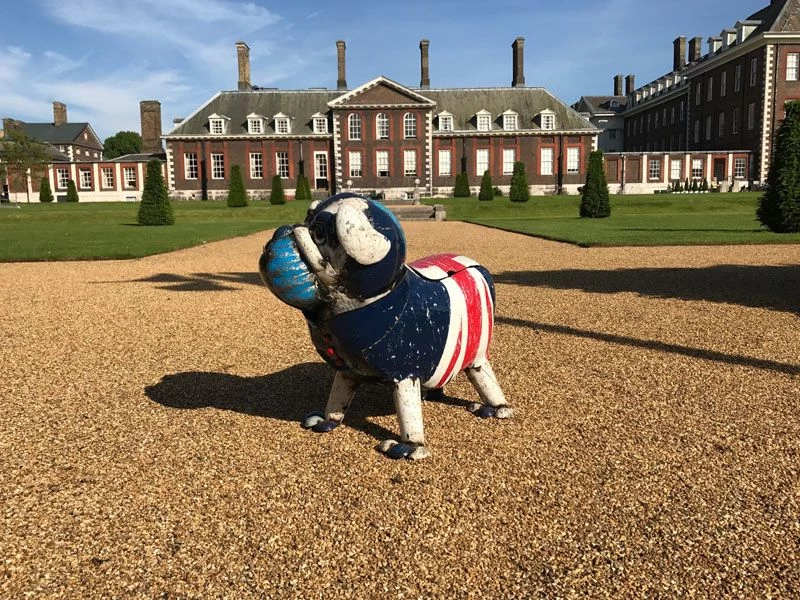 Winston The Bull Dog 5 Winston The Bull Dog - Image 3