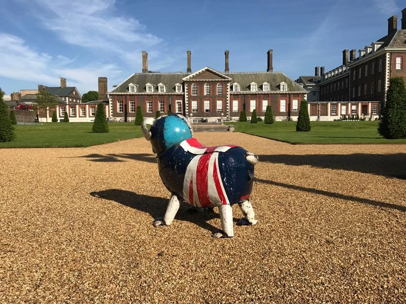 Winston The Bull Dog 6 Winston The Bull Dog - Image 4