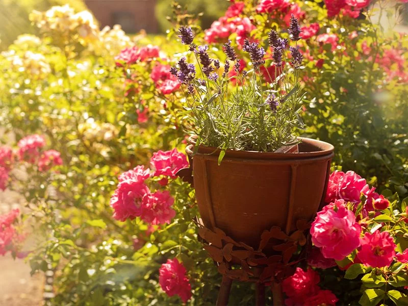 Butterfly Planter Stand 4 Butterfly Planter Stand - Image 2